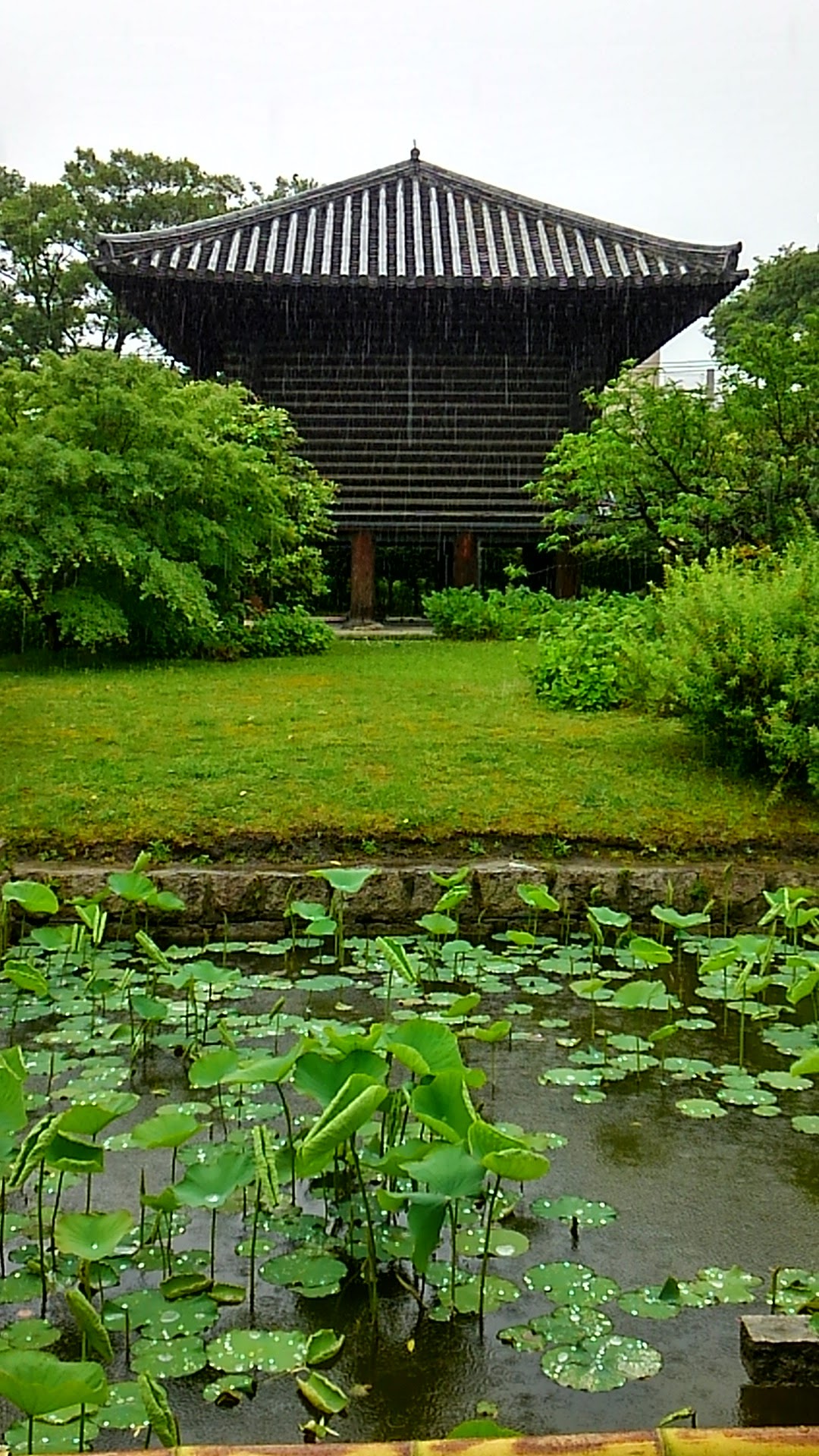 a0224502_16483032.jpg