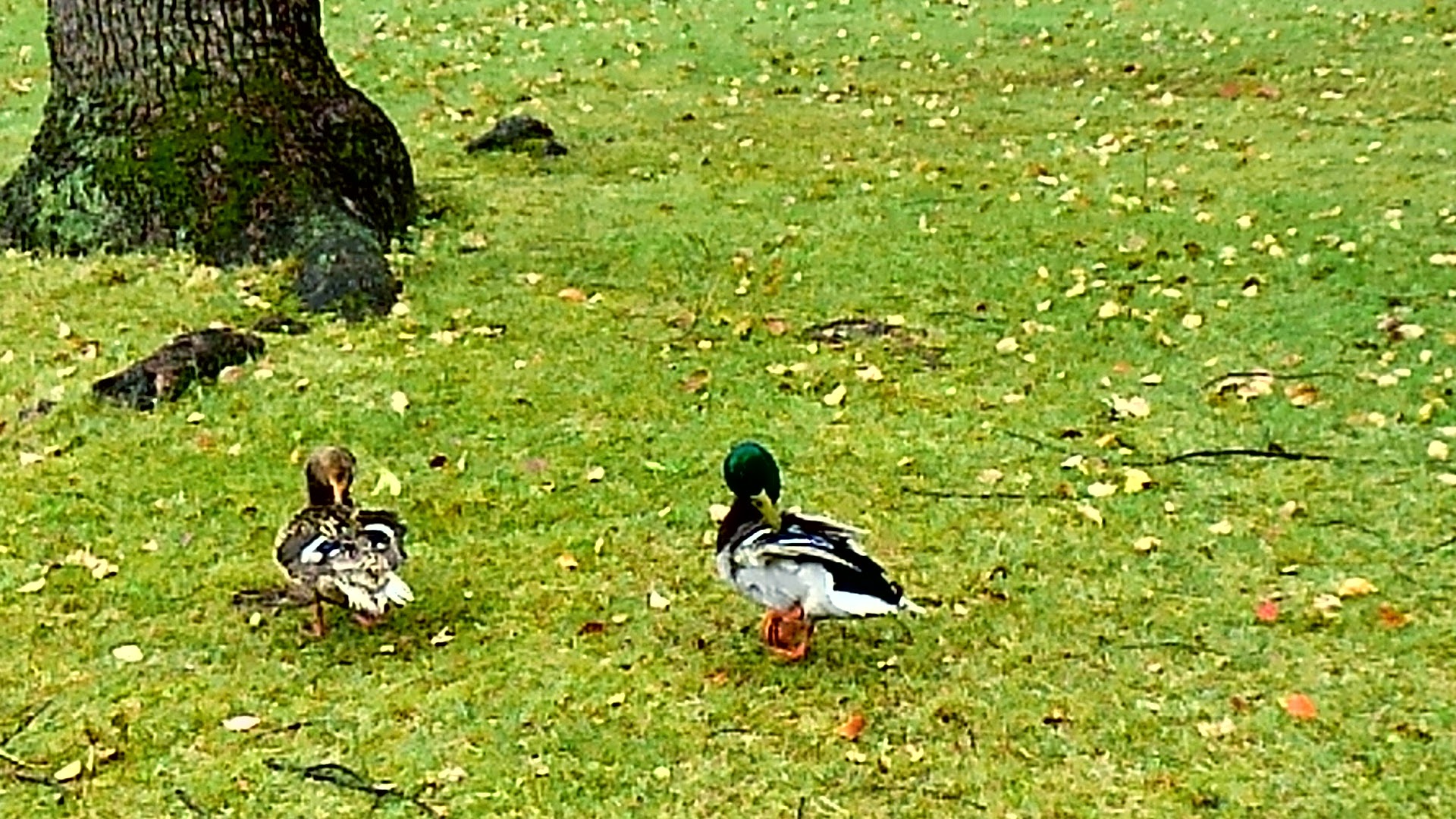 a0224502_1649841.jpg