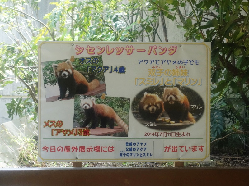 初訪問！いしかわ動物園_a0306502_23453022.jpg