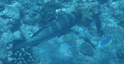 e0338303_1142276.jpg