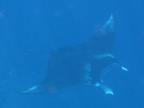 e0338303_1142594.jpg