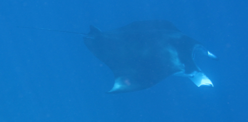 e0338303_1143457.jpg