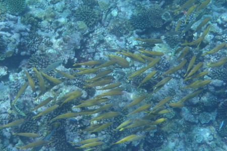 e0338303_11462695.jpg