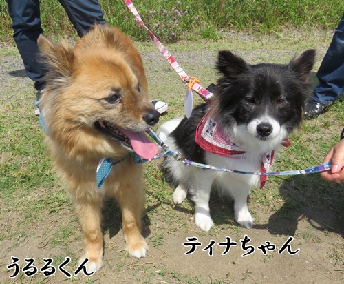 e0188009_22341970.jpg
