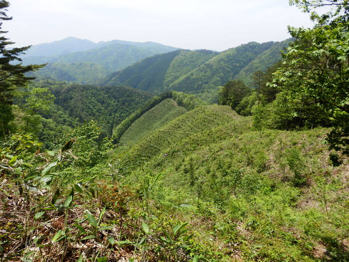 f0219710_1432859.jpg