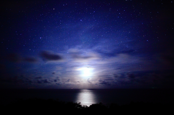一夜の想い出_c0247313_7253074.jpg