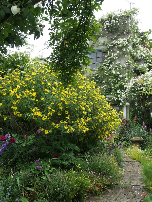 e0211213_2243817.jpg