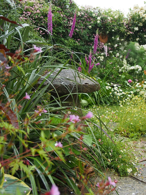 e0211213_225297.jpg