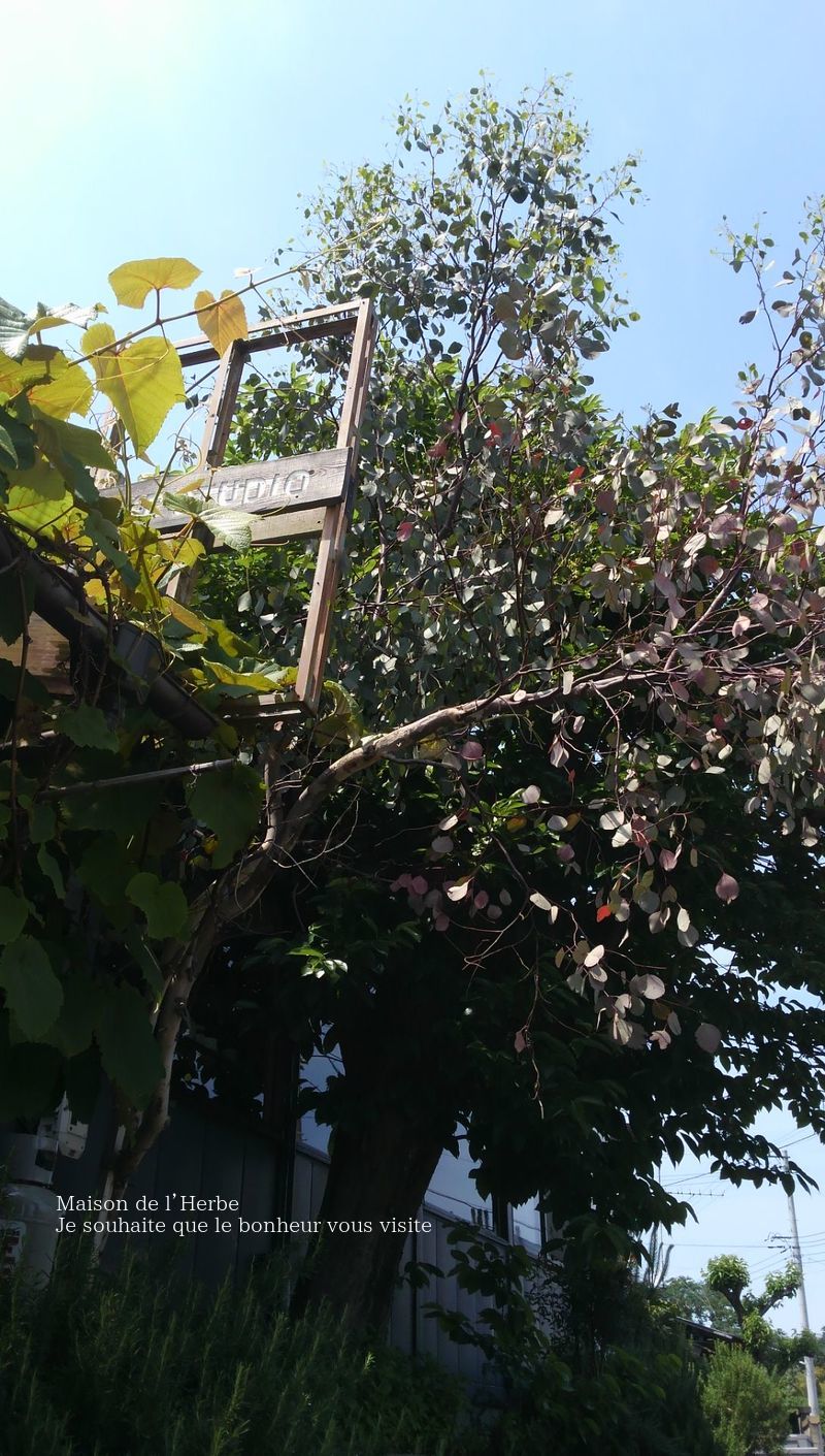 f0301515_1032426.jpg