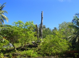 a0043520_19424530.jpg