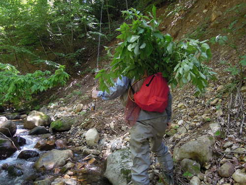 e0147226_12123087.jpg