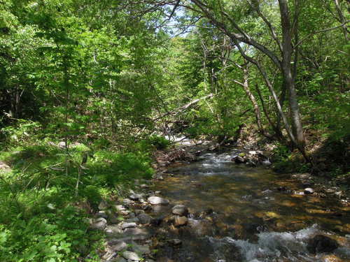 e0147226_12193628.jpg