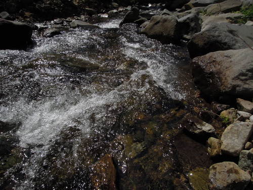 e0147226_1224020.jpg