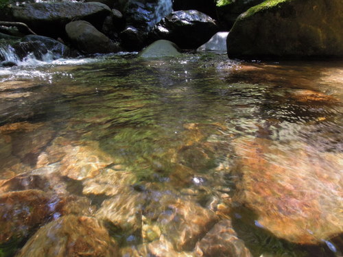 e0147226_1282862.jpg
