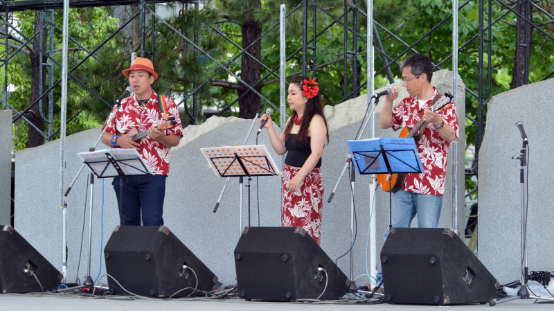 AloFes in takamatsu 2015 たっきーフラスタジオ ④_d0246136_16451064.jpg