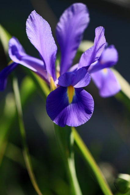 a0242438_184326100.jpg