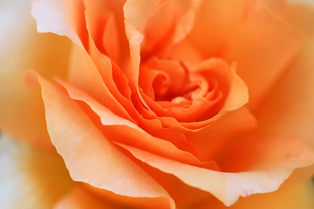 a0242438_18441712.jpg