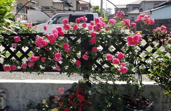 a0056140_2158370.jpg