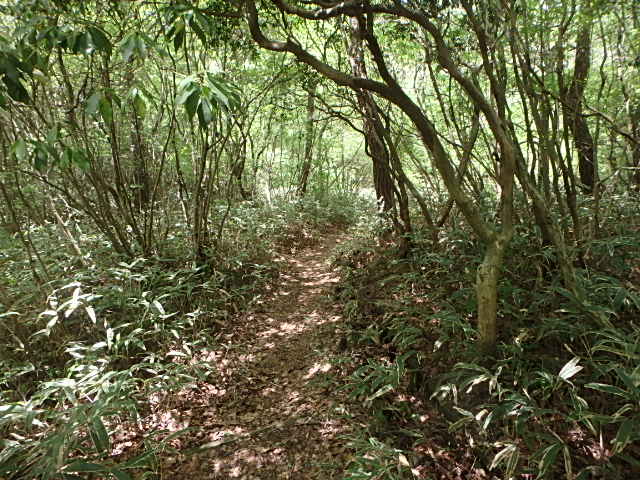 f0334143_930276.jpg