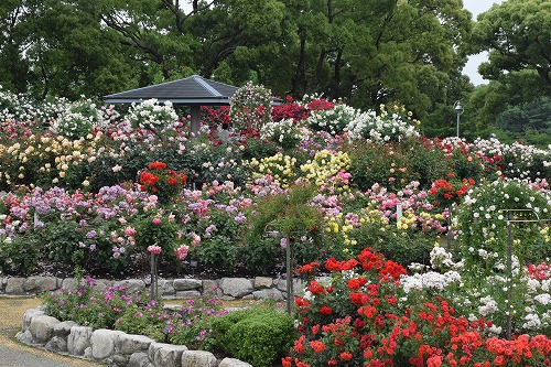 f0343750_8173460.jpg