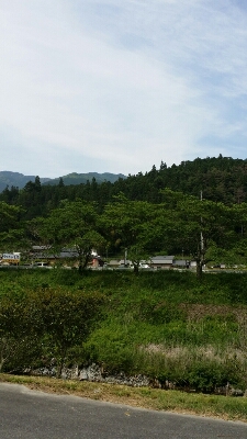 a0130451_531911.jpg