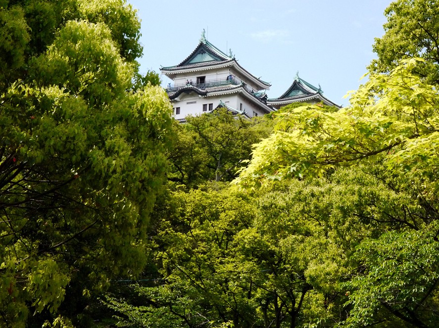 　　　　　四季・・・・・初夏_b0093754_12382141.jpg