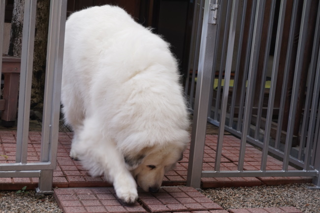 a0201257_14403251.jpg