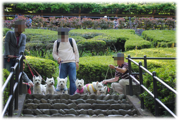 b0242873_00232977.png