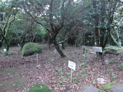 d0182075_32132.jpg
