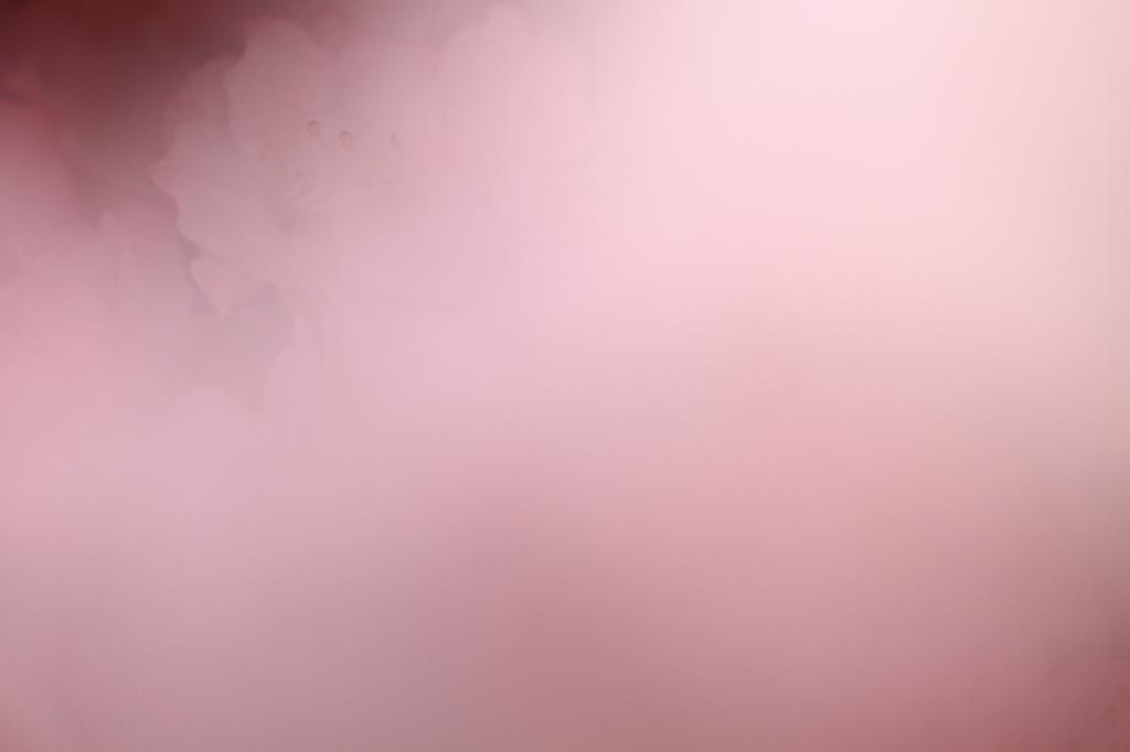 c0356480_19531204.jpg