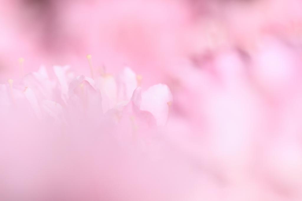 c0356480_19531240.jpg