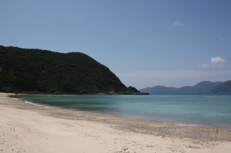 b0207284_0374228.jpg