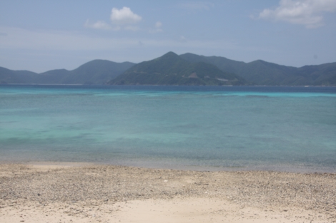 b0207284_0385041.jpg