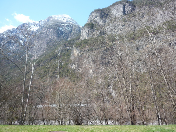 a0147890_22205043.jpg