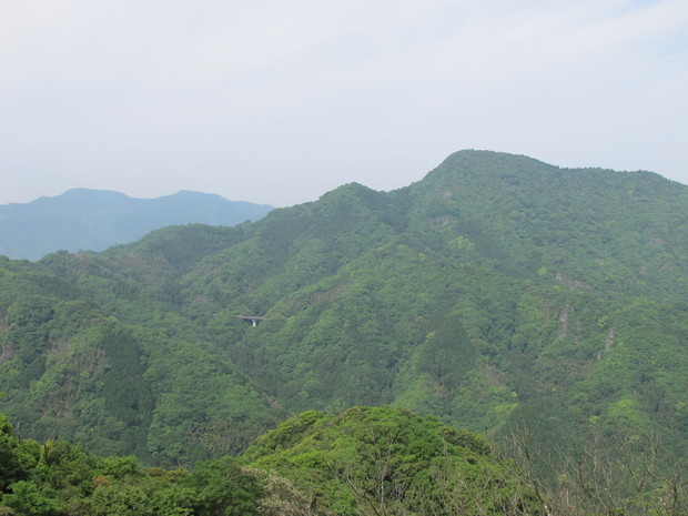 a0166196_1632163.jpg