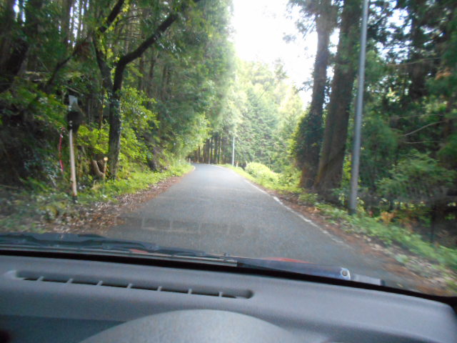 a0194797_2562719.jpg
