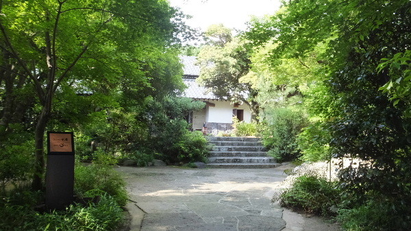 d0080998_21553389.jpg