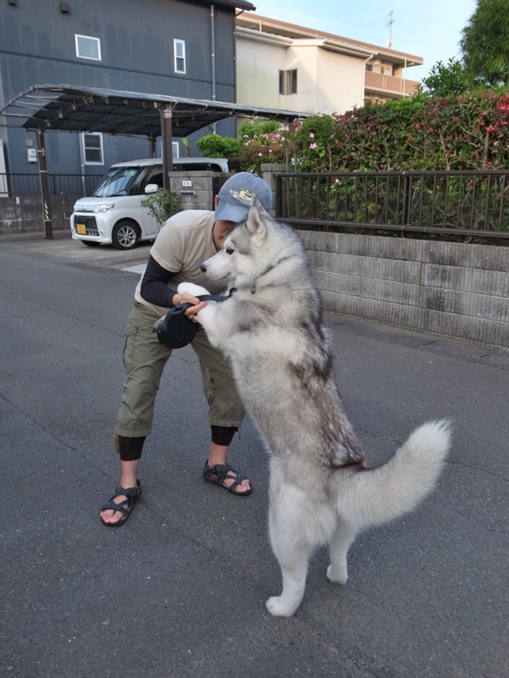 探してさがして~ (*^_^*)_c0049299_22484832.jpg