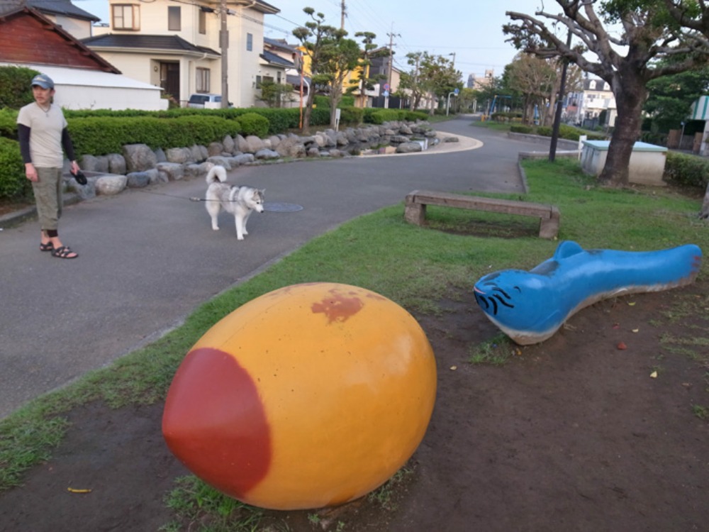 探してさがして~ (*^_^*)_c0049299_22485446.jpg