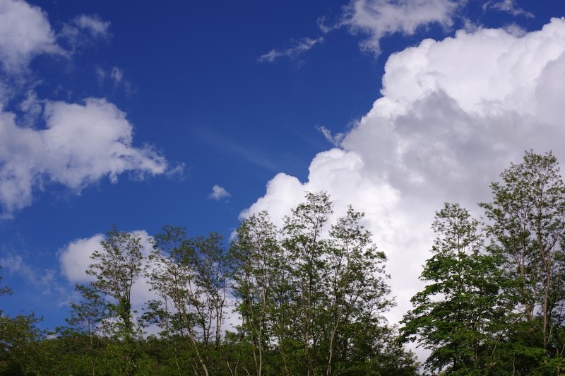 雨上がりの夏空_d0143700_2331443.jpg