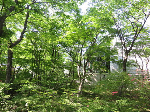d0046702_7413869.jpg