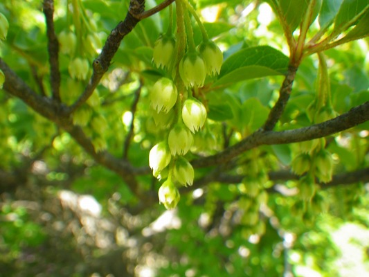 f0187402_2183834.jpg