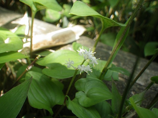 f0187402_2192960.jpg