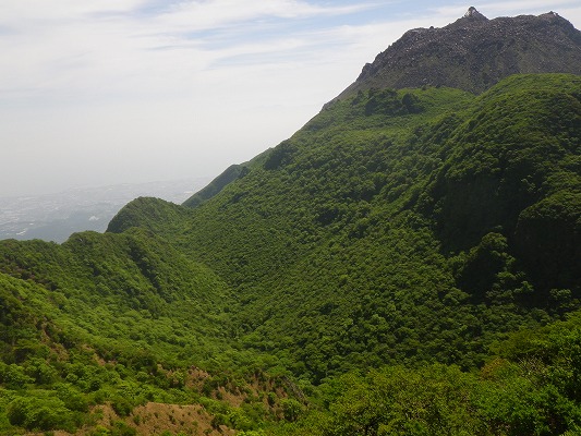 f0187402_219546.jpg