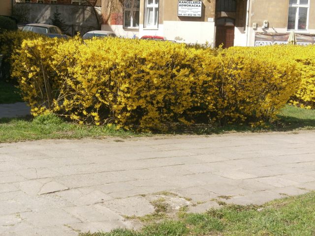 e0039206_17503342.jpg