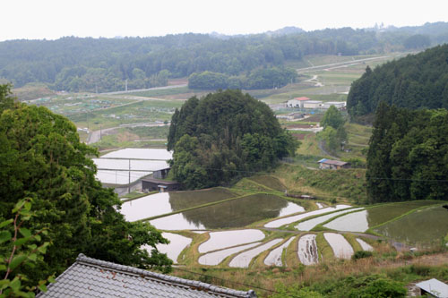仰木の棚田_e0048413_196178.jpg