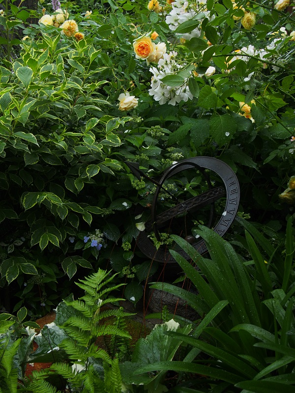 e0211213_1881872.jpg