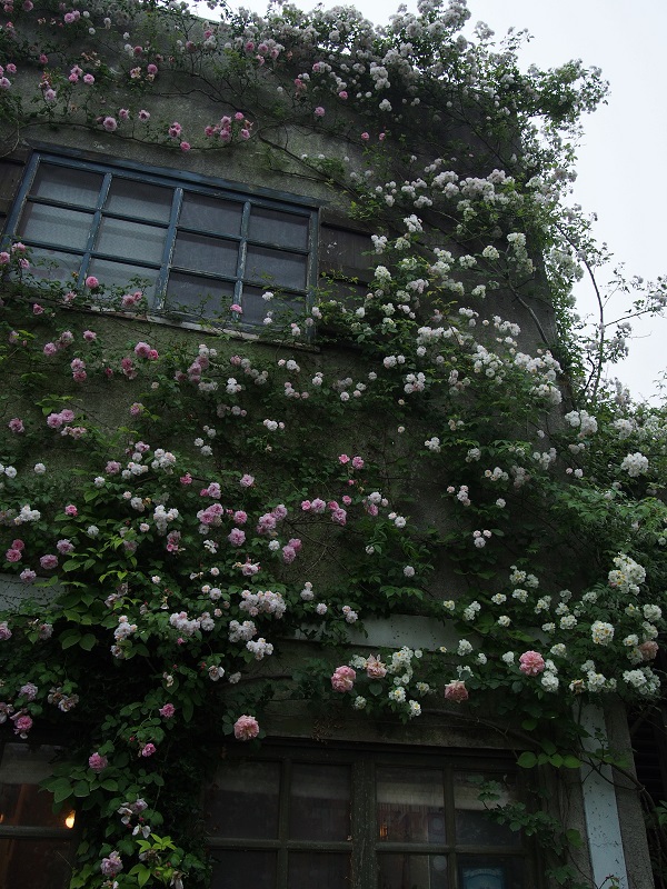e0211213_188496.jpg
