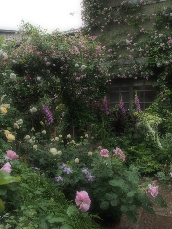 e0211213_1884983.jpg