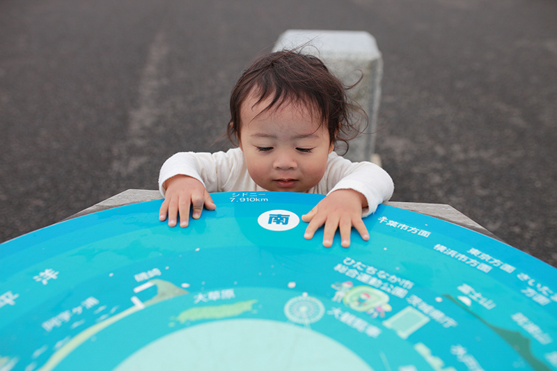 ベイビーブルーアイズ　ひたち海浜公園_c0369219_12505722.jpg